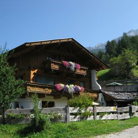 Haus Gamskogl Lejlighed Neustift im Stubaital Eksteriør billede