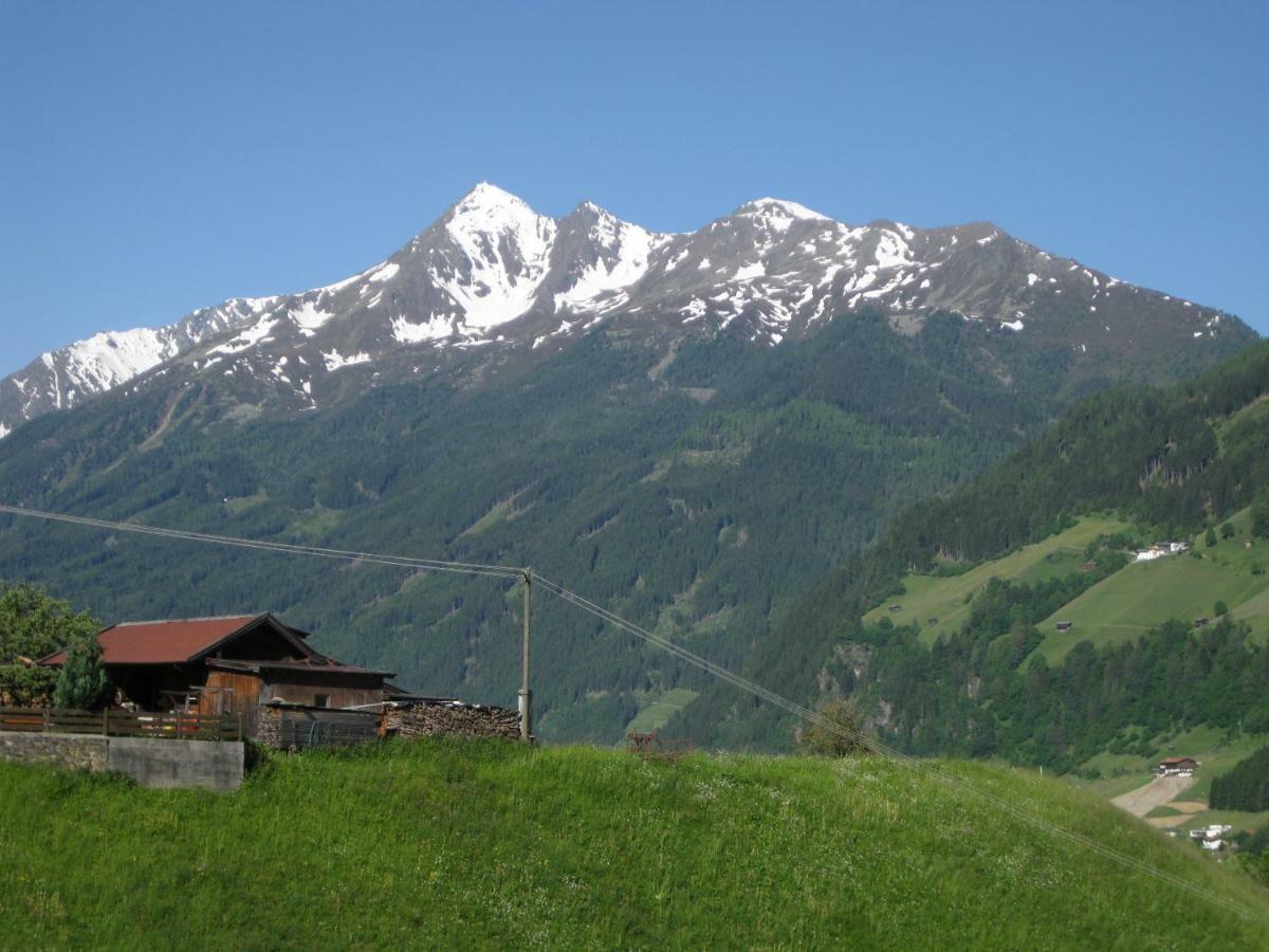Haus Gamskogl Lejlighed Neustift im Stubaital Eksteriør billede