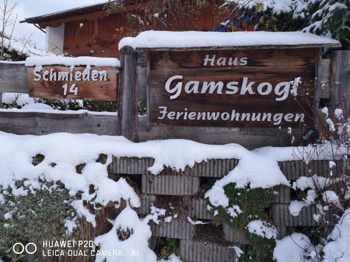 Haus Gamskogl Lejlighed Neustift im Stubaital Eksteriør billede