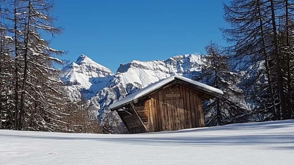 Haus Gamskogl Lejlighed Neustift im Stubaital Eksteriør billede