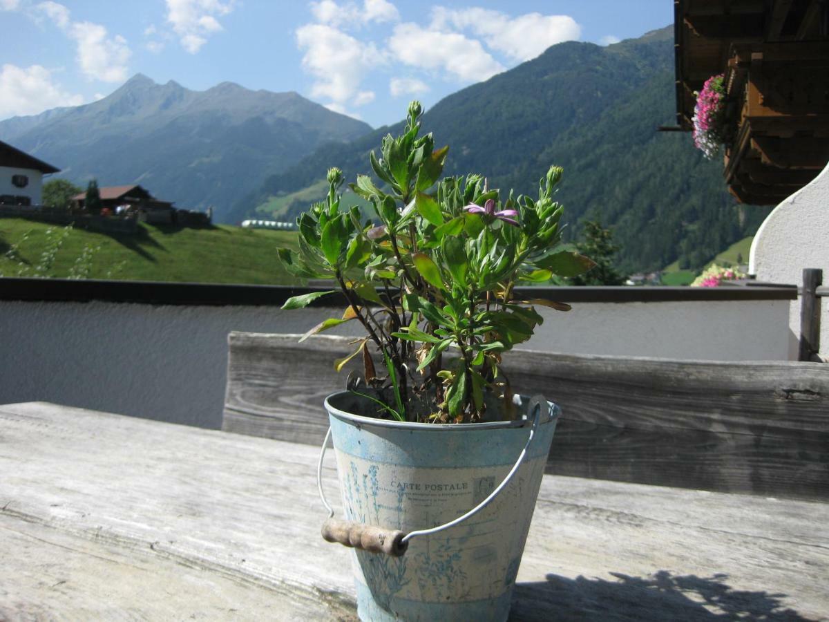Haus Gamskogl Lejlighed Neustift im Stubaital Eksteriør billede